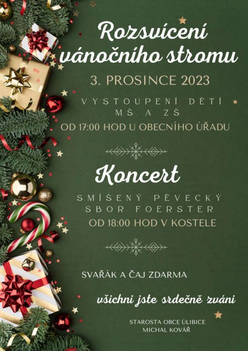 Green Natural Christmas Party Flyer-4 (1).png